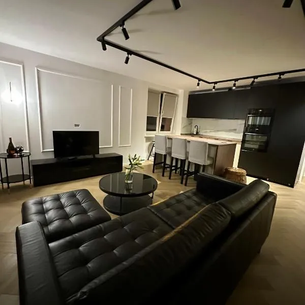 MIO Apartament Sosnowiec, hotel in Sosnowiec