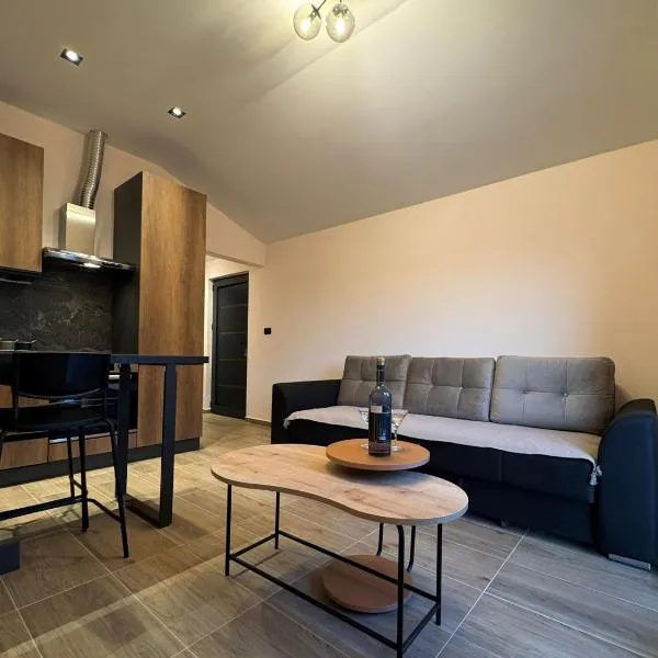 Victory Apartments, hotel in Tivat