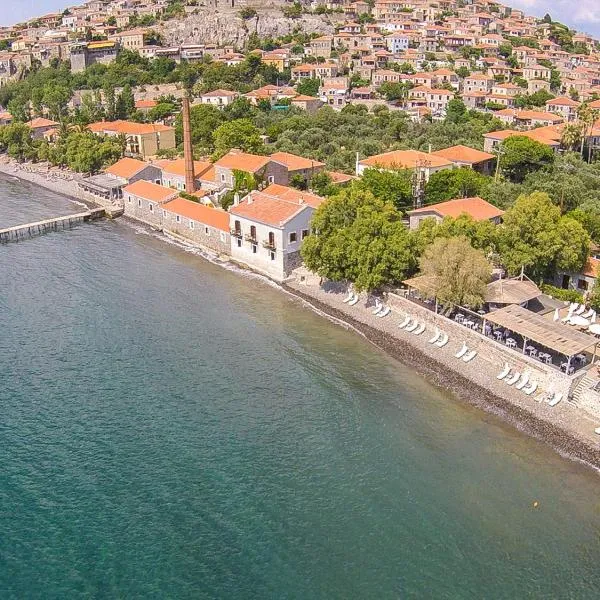 Olive Press Hotel, hotel en Mithimna