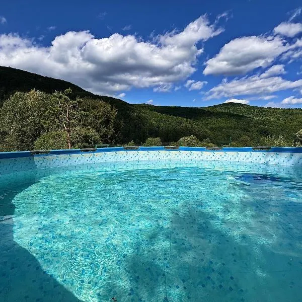 садиба В ГОРАХ у Аліни, hotell sihtkohas Solotšin