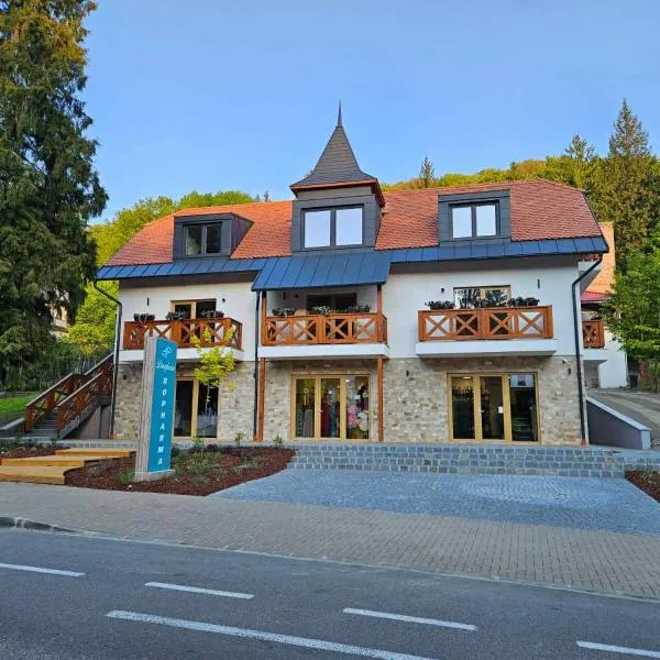 Vila Salt & Soul, hotel v destinaci Sovata