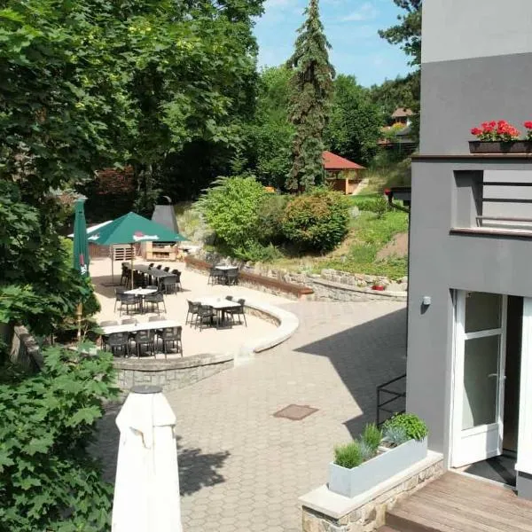 Penzion Harmony Javorník, hotel em Čtyřkoly