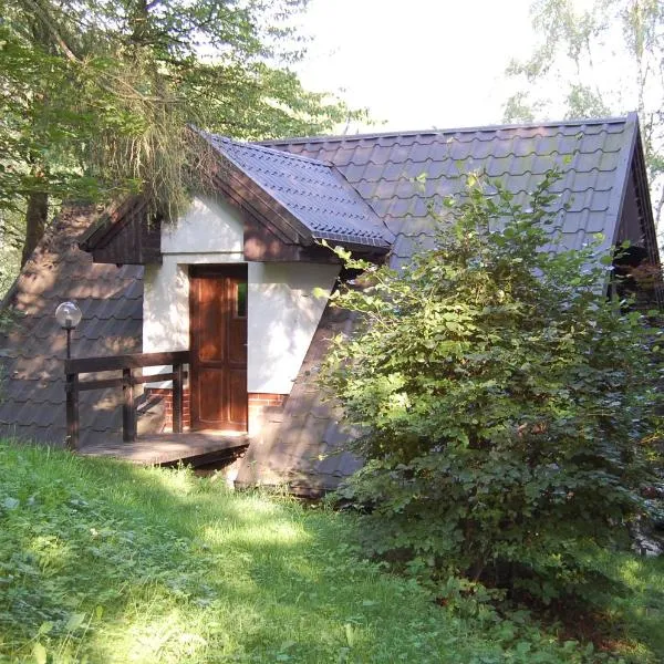 Studio Gościnne ANTEK, hotel a Czarnów