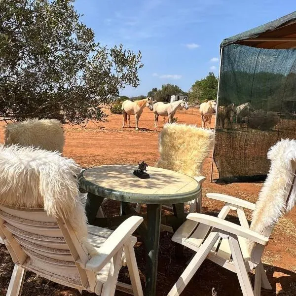 Pauls caravan for 4 - See the horses from your bed, hotel in Barão de São João