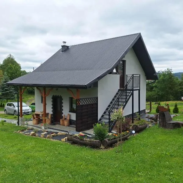 자부스에 위치한 호텔 Apartamenty w dolinie 665-733-924