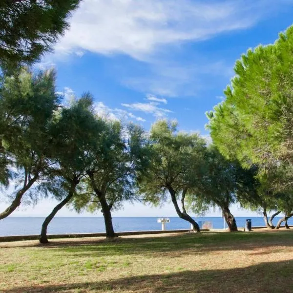 Queen Bee Apartments, hotel in Novigrad Istria