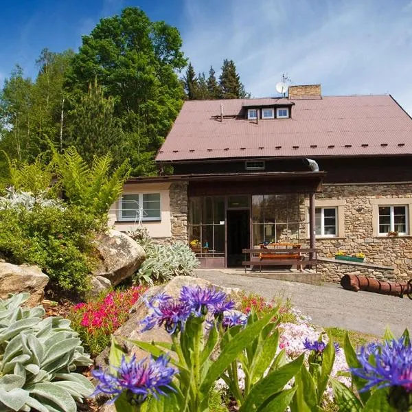 Horský Hotel Dobrá Chata, hotel ve Stachách
