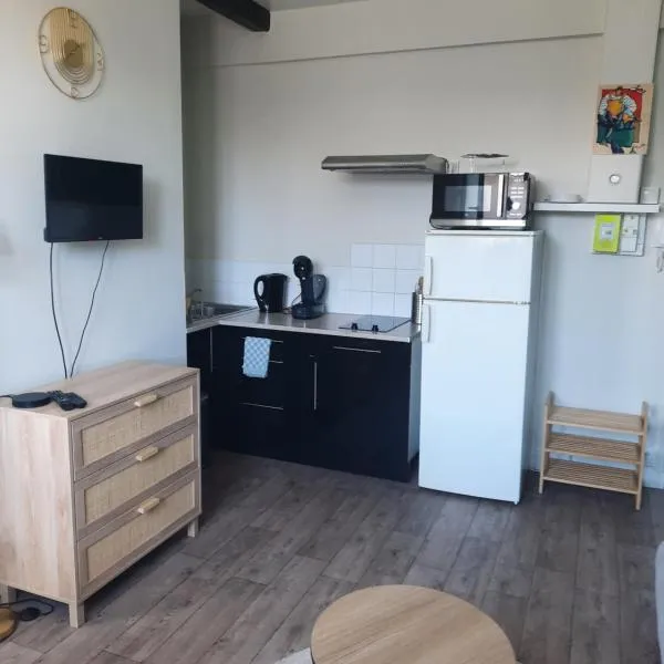 Rent studio 25 m2 city center, Brest, hotel v destinaci Brest
