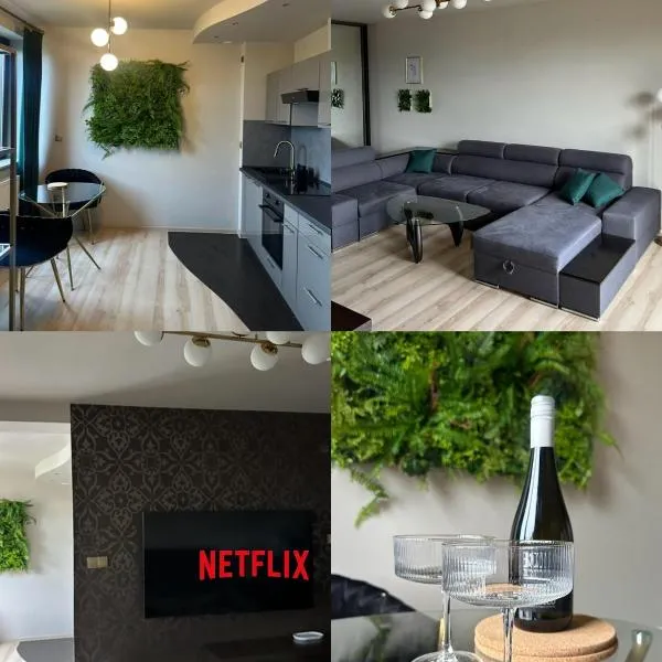 Opera Apartment Centrum PKS PKP, hotel a Częstochowa