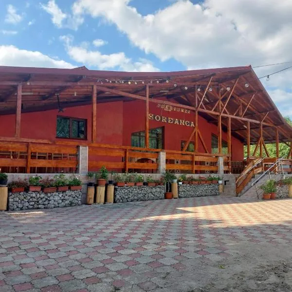 Pensiunea Soreanca, hotel di Costeşti