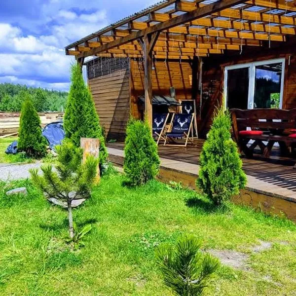 Wellness chill domek na Kaszubach,Gołubie ,saunowy zakątek z balia pod gwiazdami, hotel en Sikorzyno