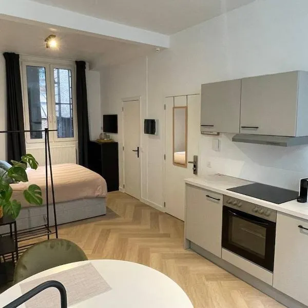 Stadsstudio Antwerpen, hotel u Antverpenu