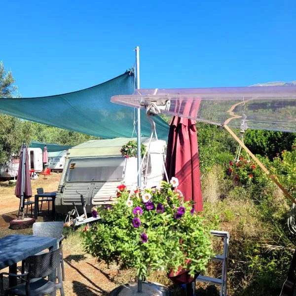 Aquariumi Jale Camping, hotel v destinaci Jal