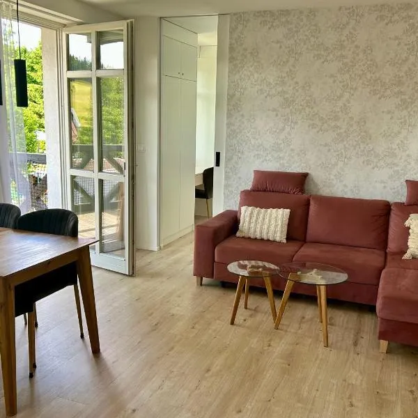 Apartmán U Zlaté břízy Krušné hory - Erzgebirge, hotel v destinaci Horní Blatná