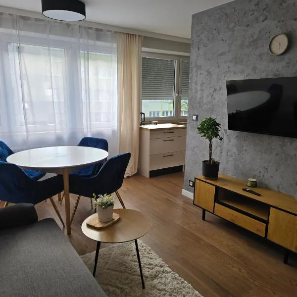 ApartPodmiejska, hotel in Kalisz