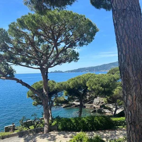 The terrace on Portofino Appartamento Terrazzo Portofino,佐阿利的飯店
