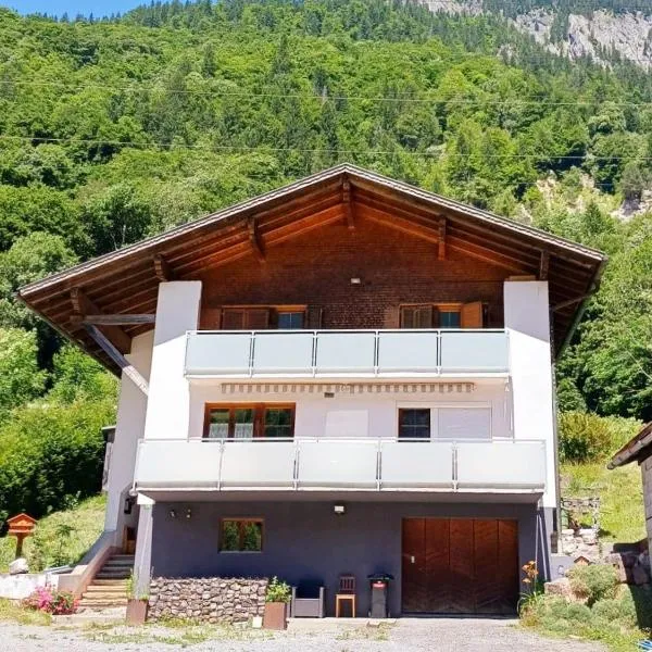 Zum schwarzen Hirsch, hotel in Dalaas
