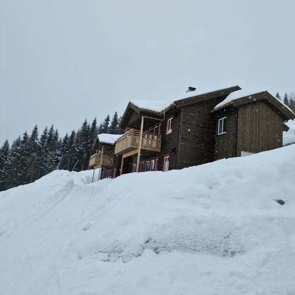 Apartment in Voss - Tråstølen, hotel en Skulestadmo