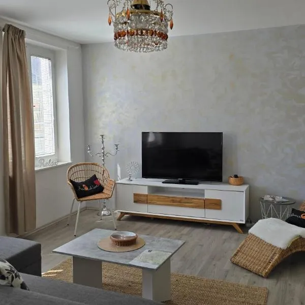 Apartmán maxi - Café Princ pod hradem KLIMA, WiFi, hotel ve Šternberku