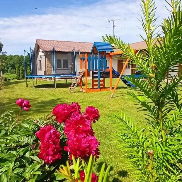 Flauta Apartamenty Rodzinne，米耶蘭柯的飯店