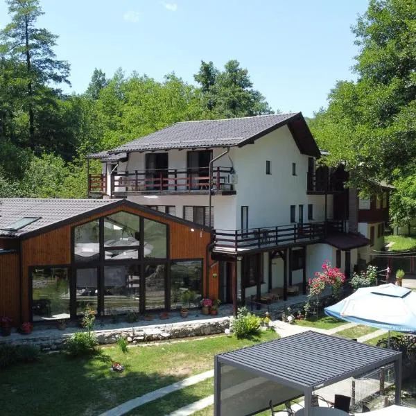 Moara Viselor, hotel in Vaideeni