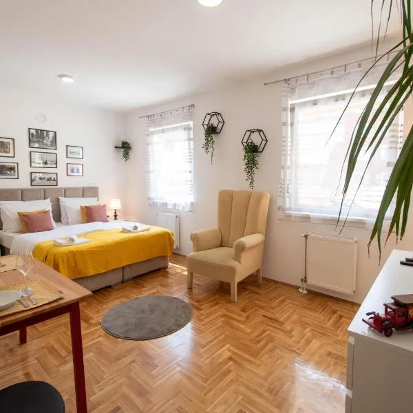 Studio Sunlight+ private parking, hotel en Novi Sad
