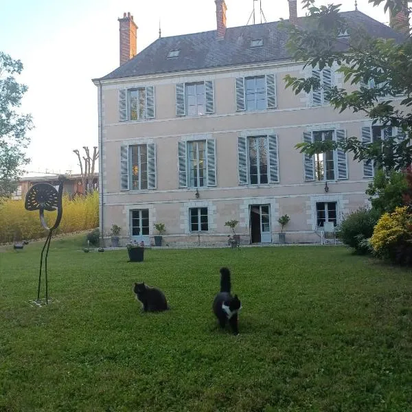 Château de la Mothe, hotel in Olivet