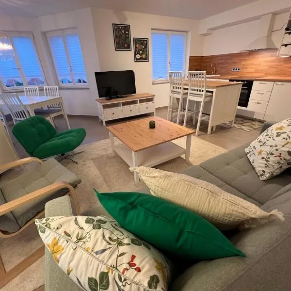 Grosses Apartment mit Balkon 74m2 für 4 Personen, hotel en Ebersbach-Musbach