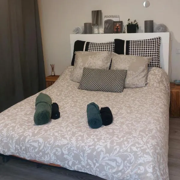 Puces de Vanves, hotel en Malakoff