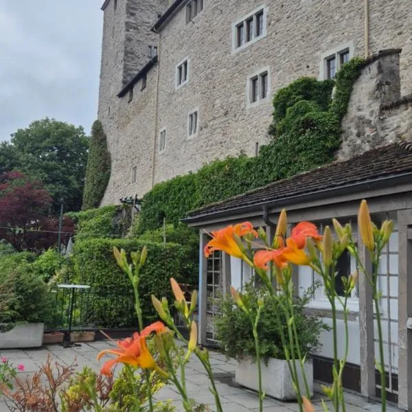 Cruise durch das Herz der Altstadt, hotel v destinaci Rapperswil-Jona