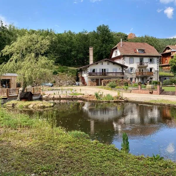 Aux Gîtes de l'Étang - Thannenkirch Bergheim, hotel v destinaci Thannenkirch