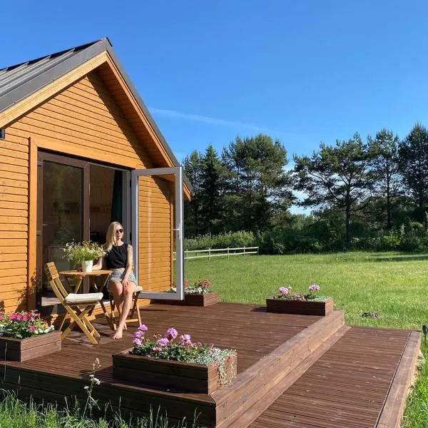 Cabin for Seaside Retreat, hotel in Ķesterciems