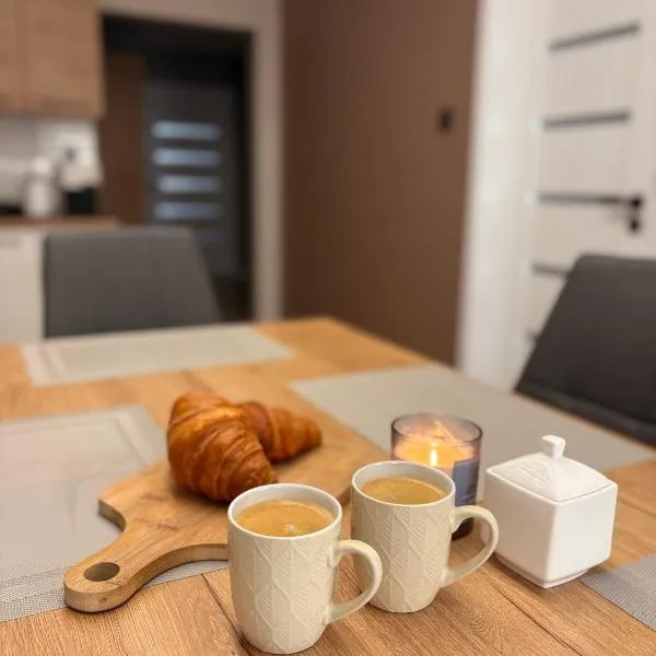 Apartament 11 na 10, hotel in Głuchołazy