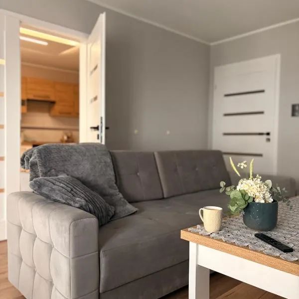 Apartament 11 na 10, hotel in Głuchołazy