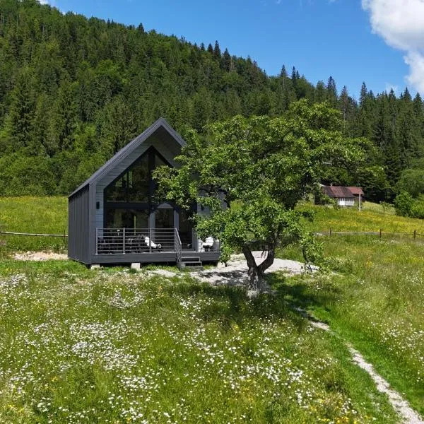 Котедж Mountain Hut, Hotel in Jaremtsche