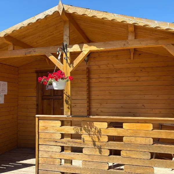 Casa Fericirii, hotel v destinaci Cîrţişoara