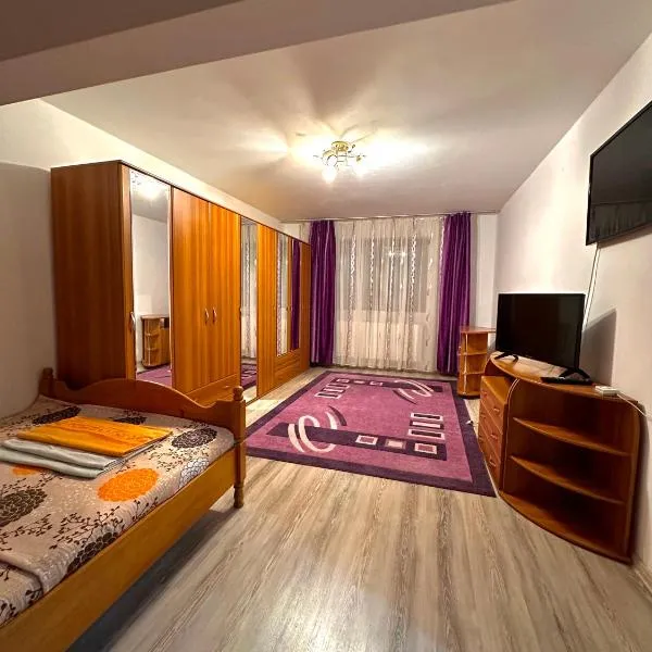 Apartament Băile Herculane, hotel a Băile Herculane