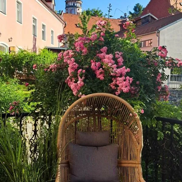 Wellness Pension Ametyst, viešbutis mieste Česky Krumlovas