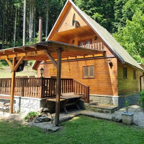 Chata Bozeňov, hotel in Šumperk