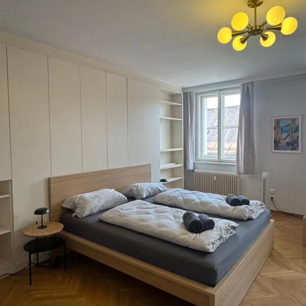 cozy big old town apartment, hotel in Klagenfurt