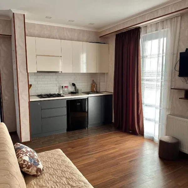 Restin, hotel a Bakuriani