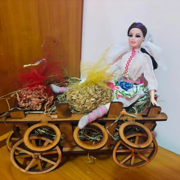 Ethno House Constantin si Elena, hotell sihtkohas Chişinău