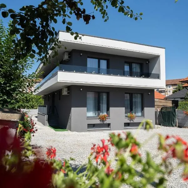 Novum Stay - Pensiune Centrala in Hunedoara, hotel in Hunedoara