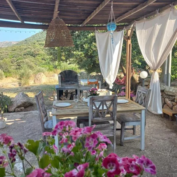 Su Frassu Authentic Gallura Stone House Vineyard Area near Olbia – hotel w mieście Monti