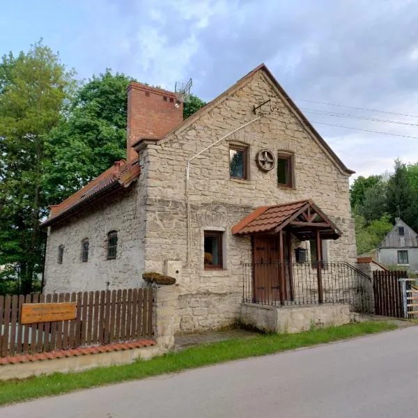 Wiśniowy Młyn, hotel em Wiśniowa
