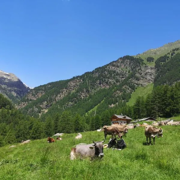 Agriturismo Malga Pontevecchio, hotel v destinaci Cogolo