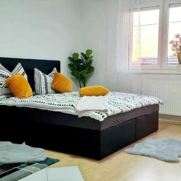 Central apartment in LINZ, hotel v Linci