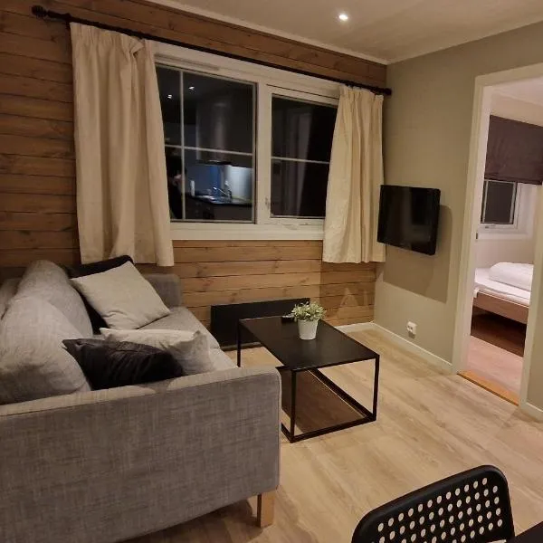 Newly renovated apartment Gautefall, hotel in Drangedal