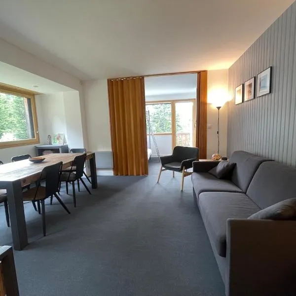 Superbe Appart aux pieds des pistes de ski avec balcon-parking et casier, Hotel in Laveissière