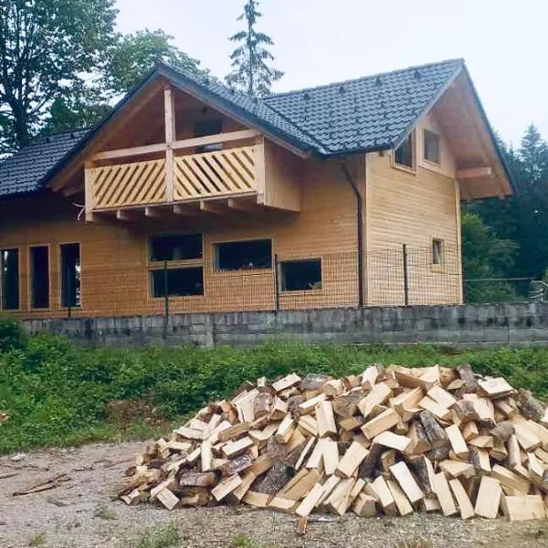 ABC Apartma Kočevsko, hotel v destinaci Kočevje
